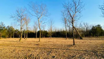 Land Clearing & Demolition for Green Land Management in Mount Pleasant, TN