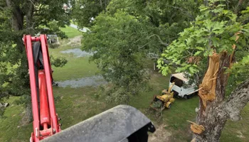 Tree Removal for Smith Tree Experts in Palmyra, VA