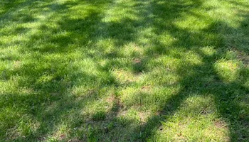 Mowing for Henry’s Lawn Care & Landscaping, LLC in Wendell, NC