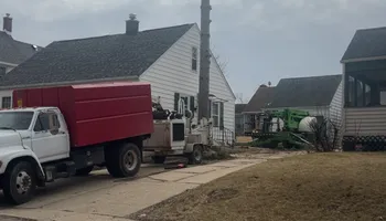 Tree Removal for Fransen's Tree Service  in Freeport, IL