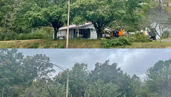 Tree Removal for Ross Family Tree Service LLC  in Hohenwald, TN