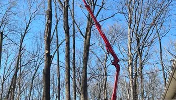 Tree Removal for SMITHs Tree Service in Columbus, IN