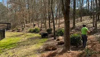 Landscape Maintenance for Nature's Way Landscaping & Maintenance, LLC in Augusta, Georgia