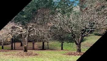 Landscape Supply Center for Handy Hands Landscape in Corvallis, OR