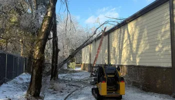 Tree Removal for Ross Family Tree Service LLC  in Hohenwald, TN