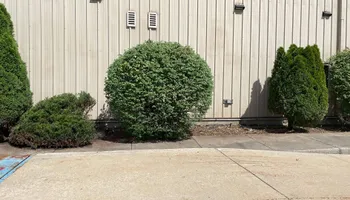 Mowing for Reliable Property Maintenance in Munster, IN