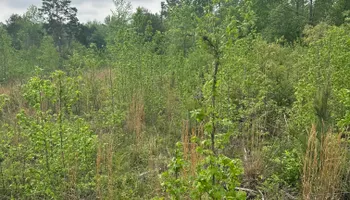 Demolition for Simmons land works in Sardis,, TN