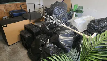 Dumpster Rentals for Newton's Junk Removal Services in Saline, MI