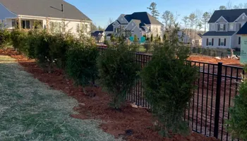 Plant Sales for S&R Landscaping and Nursery in Charlotte, NC