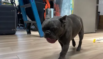 Plumbing Remodels for Mr. Pipe Dreams LLC in Colorado Springs, CO