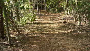 Forestry Mulching for Southern Land Solutions Forestry Mulching, LLC in Cleveland, NC