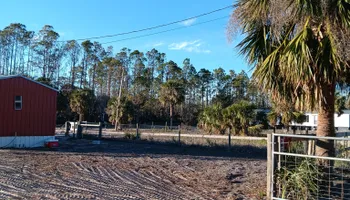 Tree Removal for Asbell's Tree & Land Services in Gilchrist County, FL