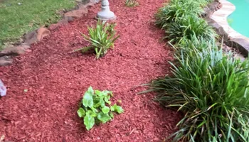 Lawn Maintenance for Total Terrain Services in Montgomery, TX