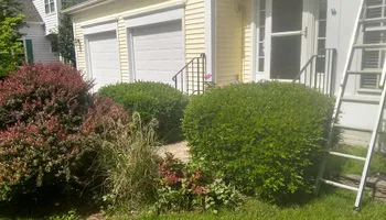 Tree Removal for Mario's Tree Service in Richmond, VA