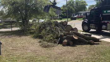 Tree Removal for Top Notch Tree Experts in Orange Park, FL