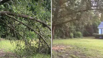 Tree Removal for Tucker's Tree Service and Stump Grinding in Lugoff, SC