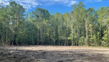 Land Clearing for Cortez Construction SC, LLC in Conway, SC