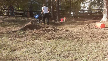 Tree Removal for Oakhurst Landscaping and Tree Service in Charlotte, NC