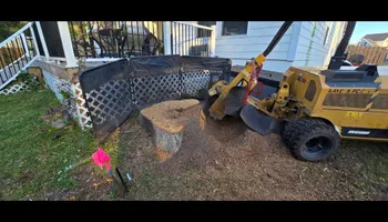 Tree Removal for Hawkins Tree Service & Land Management in Richmond Hill, GA