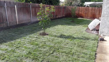 Property Maintenance for Best Lawncare in Colton, CA