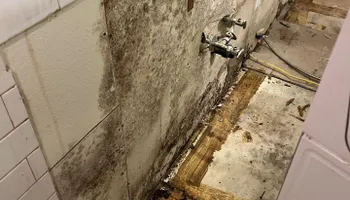 Water Mitigation for No Fear Restoration LLC in Port Angeles, WA