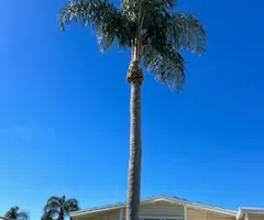 Mowing for Greener Horizons Landscape Management in Port St. Lucie, FL