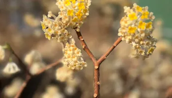 Erosion Control / Water Management for Christina King Landscape Design in Raleigh, NC
