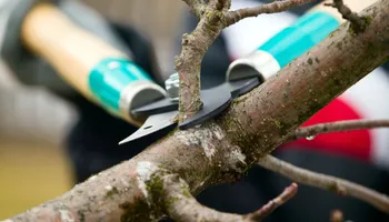 Retaining Wall Construction for Outdoor Assassins LLC in Hendersonville, NC