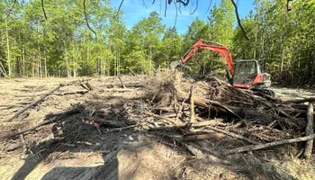 Land Clearing for Page Outdoor Services in Wrightsville, GA