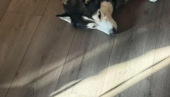 Kitchen Renovation for Campbell Quality Construction in Apache Junction, AZ