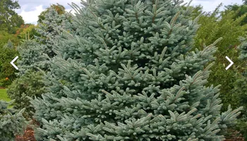 Commercial Landscaping for Trim Seasonal Services in Milwaukee, WI
