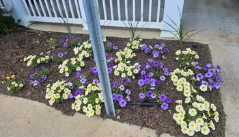 Lawn Maintenance for Trinity Landscapes  in Lumberton, NC