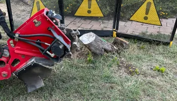 Tree Removal for Oakley’s Stump ‘N Grind in Leander, TX