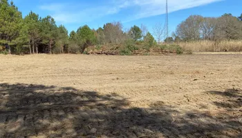 Dirt Work for Rogers Land Services in Hawkinsville, GA