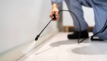 Residential Pest Control for Mr. Pest & Weed Control in Odessa, TX