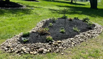 Tree Removal for Tree ReLeaf in Manalapan, NJ