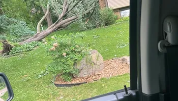 Tree Removal for Allstate Tree Service and Crane in Spring Lake Park, MN