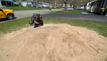 Tree Removal for Licensed to Cut in Athens, PA