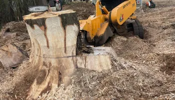 Stump Removal for J&K Stump Grinding in Detroit, MI