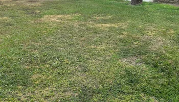 Fall Clean Up for Estrada All Pro Lawn Service in Auburndale, Florida