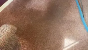 Carpet Cleaning for Blue Line Pressure Washing in Carthage, IL