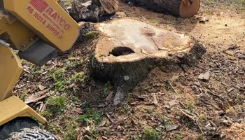 Tree Removal for Gray’s Tree Service Inc in Maurertown, VA