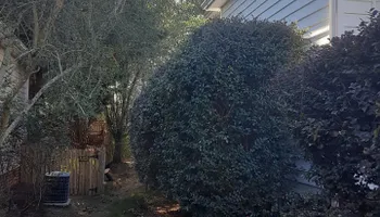 Tree Removal for Oakhurst Landscaping and Tree Service in Charlotte, NC