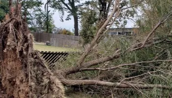Appraisals for Catastrophe Loss Consultants in Dallas, TX