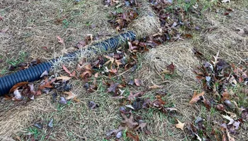 Land Clearing for Gibson Grade Works in Towns County, GA