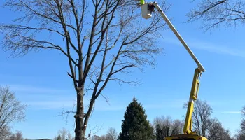 Tree Removal for SMITHs Tree Service in Columbus, IN