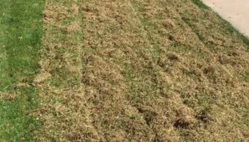 Lawn Aeration for North Texas Groundscaping in Frisco, TX