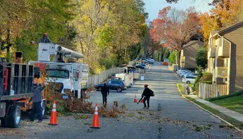 Tree Removal for W D Giampa Lawns and Landscape Inc. in Independent Hill, VA