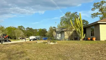 Tree Removal for Top Notch Tree Experts in Orange Park, FL
