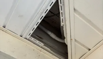 Residential Wildlife Control for The Critter Crew in DFW, TX